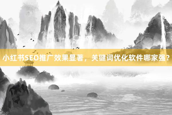 小红书SEO推广效果显著，关键词优化软件哪家强？