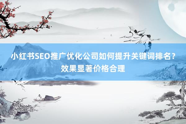小红书SEO推广优化公司如何提升关键词排名？效果显著价格合理