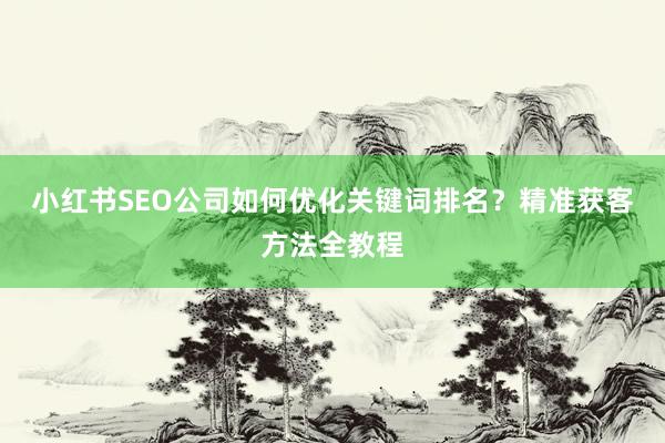 小红书SEO公司如何优化关键词排名？精准获客方法全教程