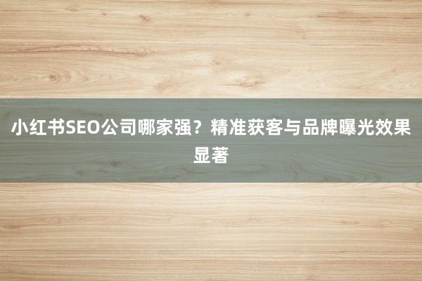 小红书SEO公司哪家强？精准获客与品牌曝光效果显著