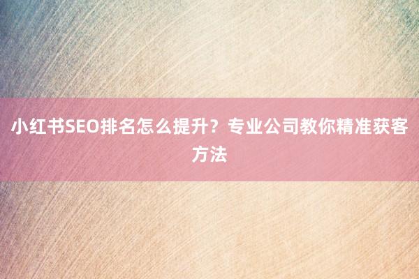 小红书SEO排名怎么提升？专业公司教你精准获客方法