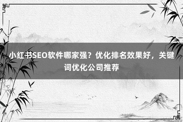 小红书SEO软件哪家强？优化排名效果好，关键词优化公司推荐