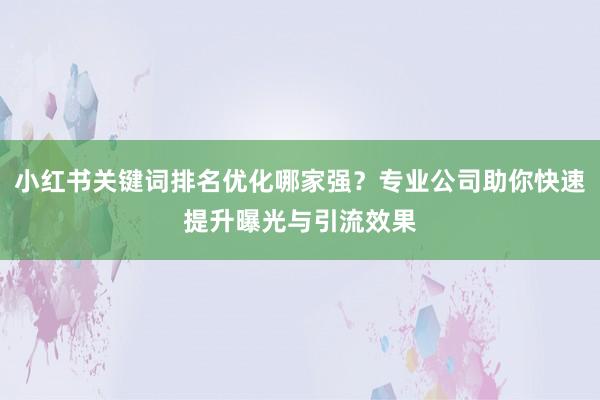 小红书关键词排名优化哪家强？专业公司助你快速提升曝光与引流效果