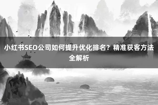 小红书SEO公司如何提升优化排名？精准获客方法全解析