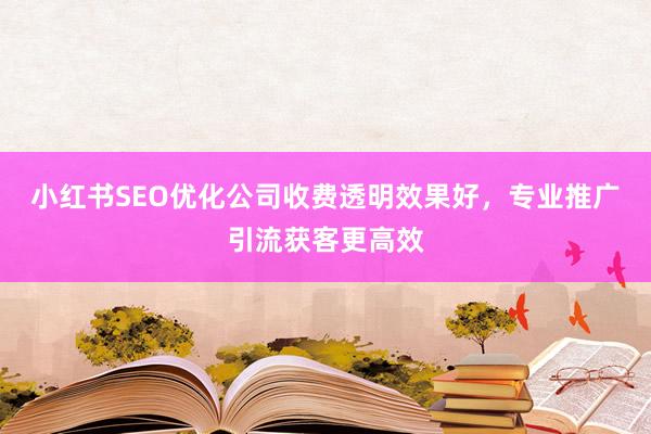 小红书SEO优化公司收费透明效果好，专业推广引流获客更高效