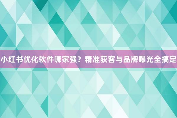 小红书优化软件哪家强？精准获客与品牌曝光全搞定