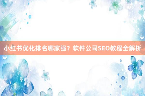 小红书优化排名哪家强？软件公司SEO教程全解析
