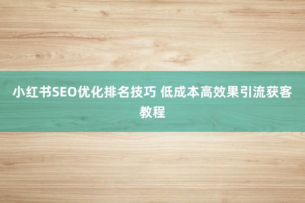 小红书SEO优化排名技巧 低成本高效果引流获客教程