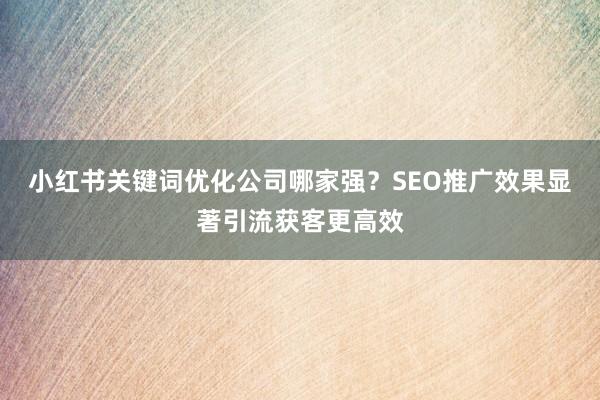 小红书关键词优化公司哪家强？SEO推广效果显著引流获客更高效