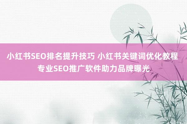 小红书SEO排名提升技巧 小红书关键词优化教程 专业SEO推广软件助力品牌曝光