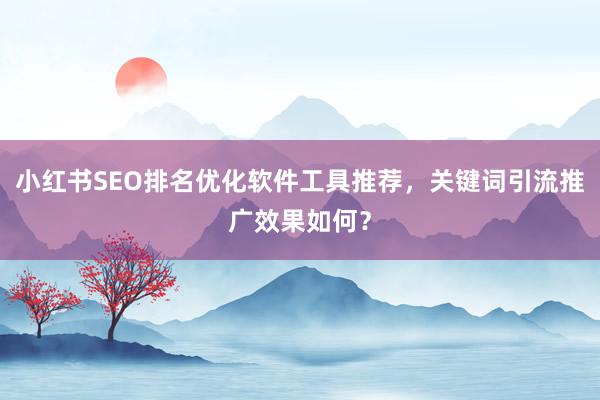 小红书SEO排名优化软件工具推荐，关键词引流推广效果如何？