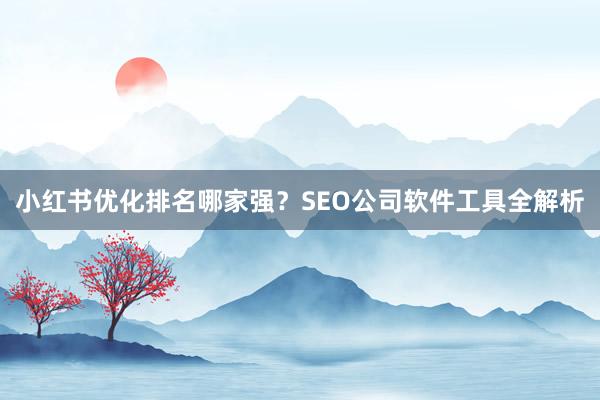小红书优化排名哪家强？SEO公司软件工具全解析