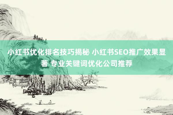 小红书优化排名技巧揭秘 小红书SEO推广效果显著 专业关键词优化公司推荐