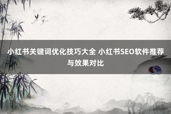 小红书关键词优化技巧大全 小红书SEO软件推荐与效果对比