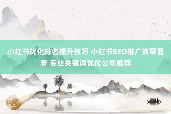 小红书优化排名提升技巧 小红书SEO推广效果显著 专业关键词优化公司推荐