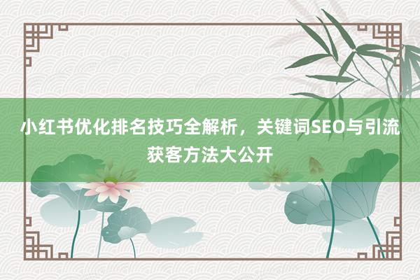 小红书优化排名技巧全解析，关键词SEO与引流获客方法大公开