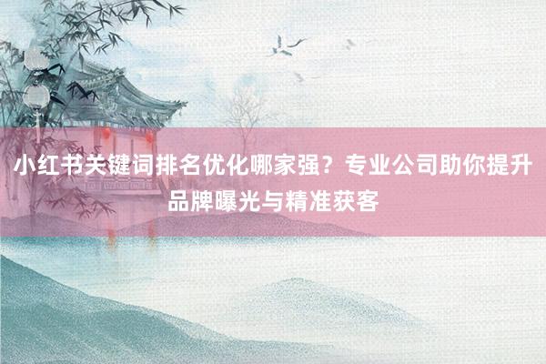 小红书关键词排名优化哪家强？专业公司助你提升品牌曝光与精准获客