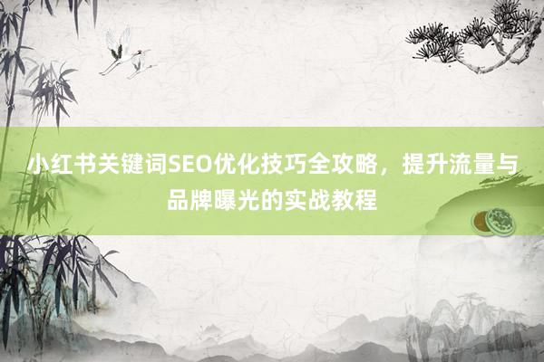 小红书关键词SEO优化技巧全攻略，提升流量与品牌曝光的实战教程