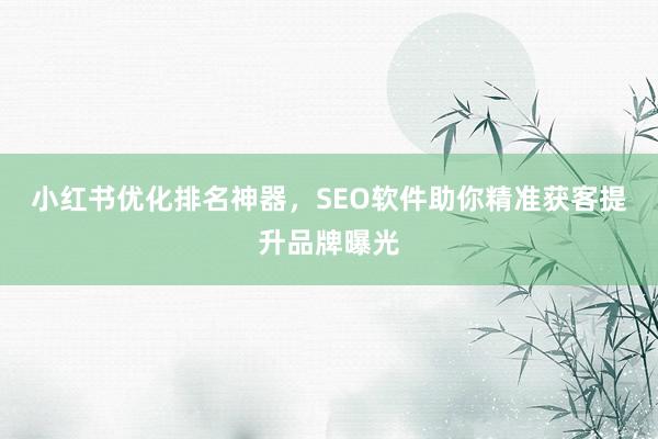 小红书优化排名神器，SEO软件助你精准获客提升品牌曝光