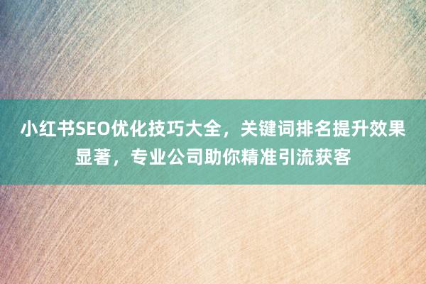小红书SEO优化技巧大全，关键词排名提升效果显著，专业公司助你精准引流获客
