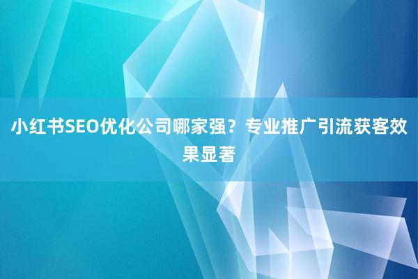 小红书SEO优化公司哪家强？专业推广引流获客效果显著