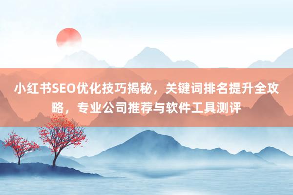 小红书SEO优化技巧揭秘，关键词排名提升全攻略，专业公司推荐与软件工具测评