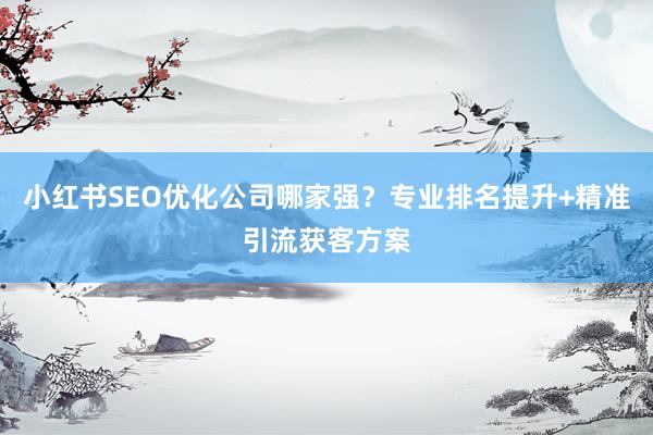 小红书SEO优化公司哪家强？专业排名提升+精准引流获客方案