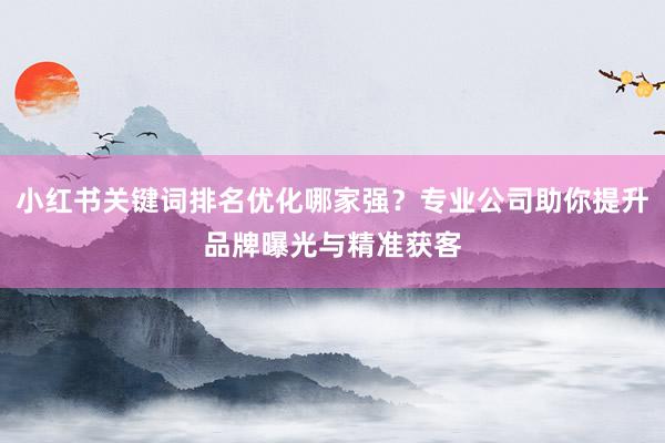 小红书关键词排名优化哪家强？专业公司助你提升品牌曝光与精准获客