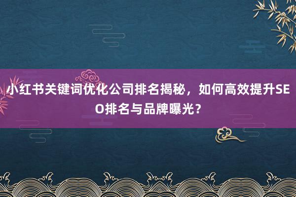 小红书关键词优化公司排名揭秘，如何高效提升SEO排名与品牌曝光？