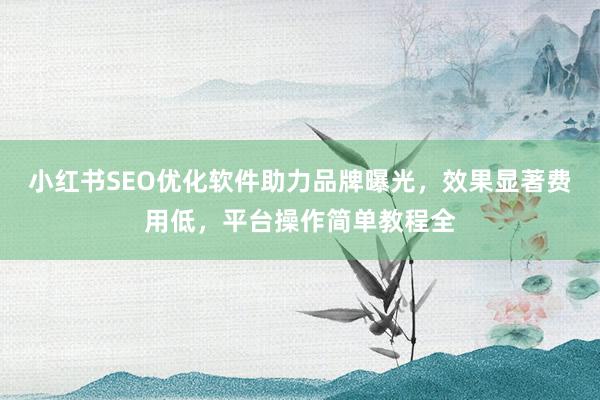小红书SEO优化软件助力品牌曝光，效果显著费用低，平台操作简单教程全