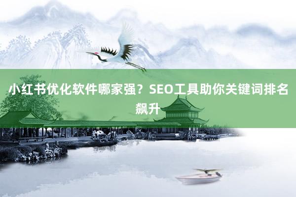 小红书优化软件哪家强？SEO工具助你关键词排名飙升
