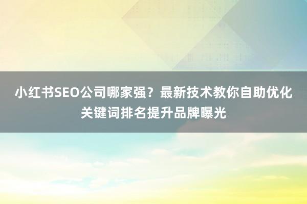 小红书SEO公司哪家强？最新技术教你自助优化关键词排名提升品牌曝光