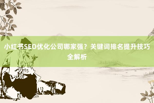 小红书SEO优化公司哪家强？关键词排名提升技巧全解析