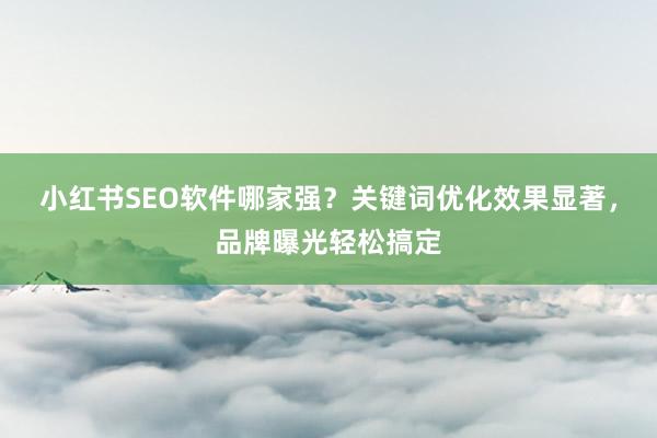 小红书SEO软件哪家强？关键词优化效果显著，品牌曝光轻松搞定