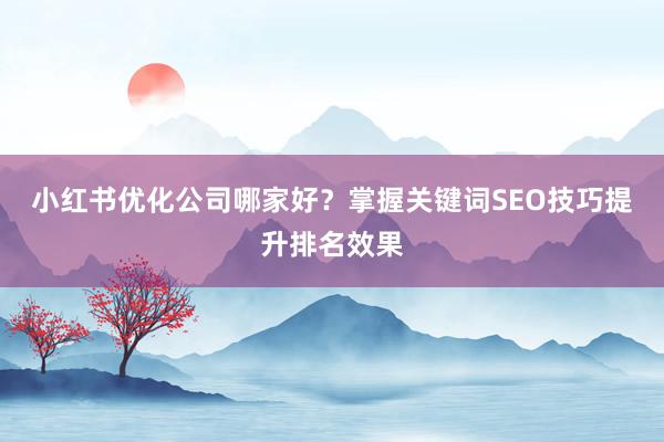 小红书优化公司哪家好？掌握关键词SEO技巧提升排名效果