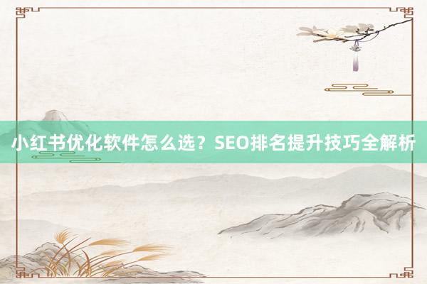小红书优化软件怎么选？SEO排名提升技巧全解析