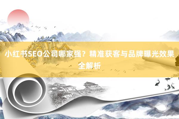 小红书SEO公司哪家强？精准获客与品牌曝光效果全解析