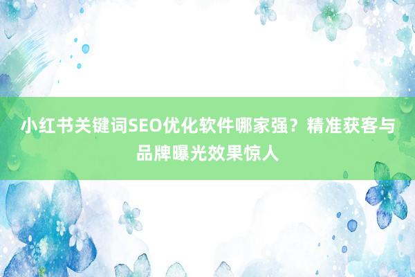 小红书关键词SEO优化软件哪家强？精准获客与品牌曝光效果惊人