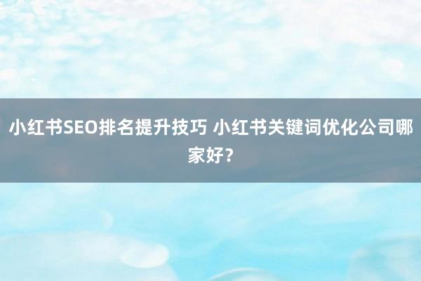小红书SEO排名提升技巧 小红书关键词优化公司哪家好？