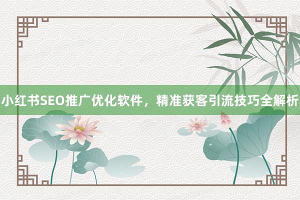 小红书SEO推广优化软件，精准获客引流技巧全解析