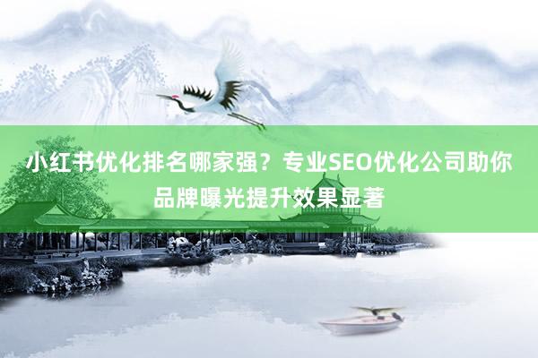 小红书优化排名哪家强？专业SEO优化公司助你品牌曝光提升效果显著