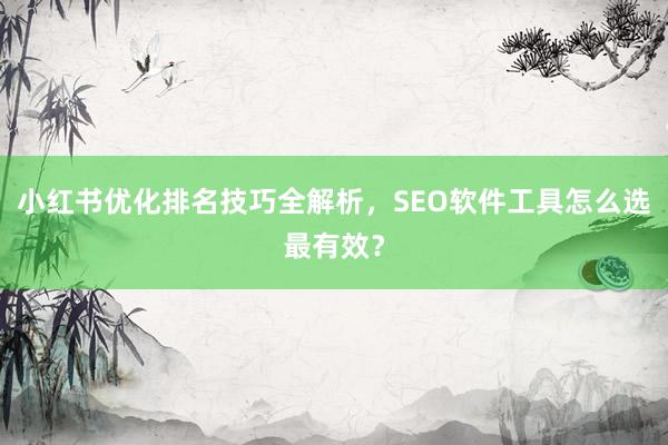 小红书优化排名技巧全解析，SEO软件工具怎么选最有效？