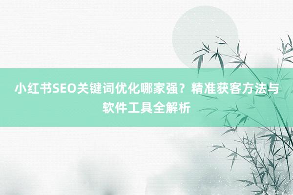 小红书SEO关键词优化哪家强？精准获客方法与软件工具全解析