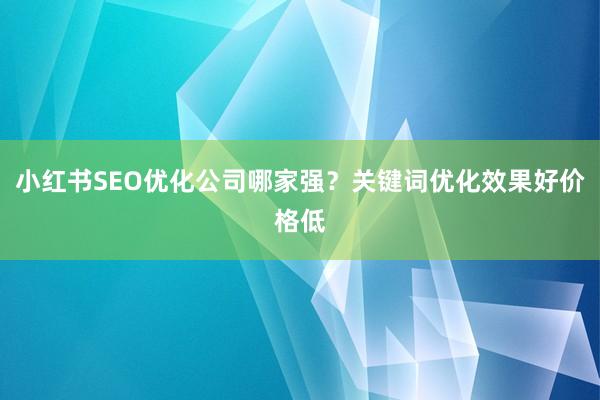 小红书SEO优化公司哪家强？关键词优化效果好价格低