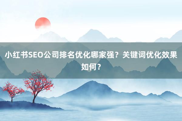 小红书SEO公司排名优化哪家强？关键词优化效果如何？