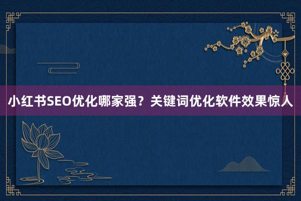小红书SEO优化哪家强？关键词优化软件效果惊人