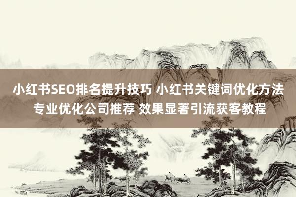 小红书SEO排名提升技巧 小红书关键词优化方法 专业优化公司推荐 效果显著引流获客教程