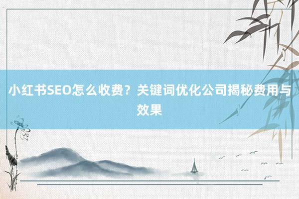 小红书SEO怎么收费？关键词优化公司揭秘费用与效果