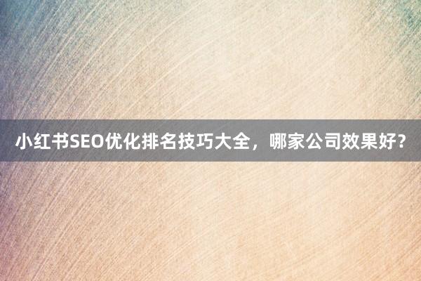 小红书SEO优化排名技巧大全，哪家公司效果好？