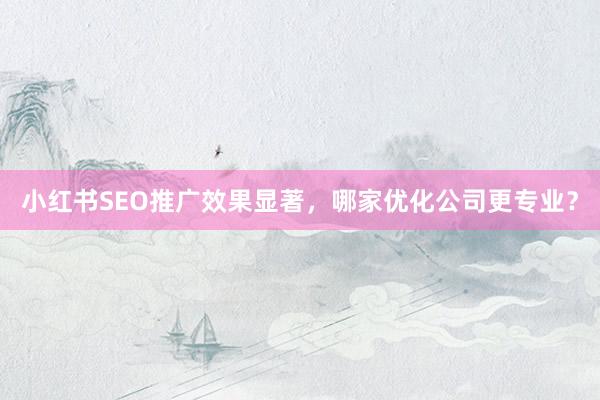 小红书SEO推广效果显著，哪家优化公司更专业？